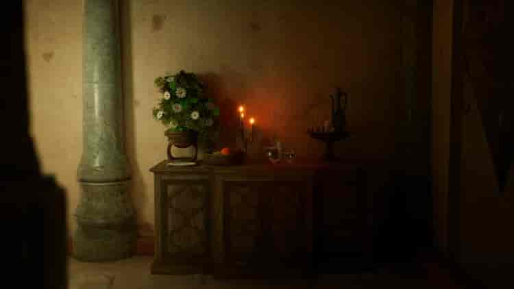 Image 12