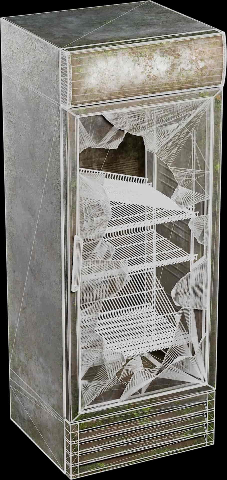 Image 4