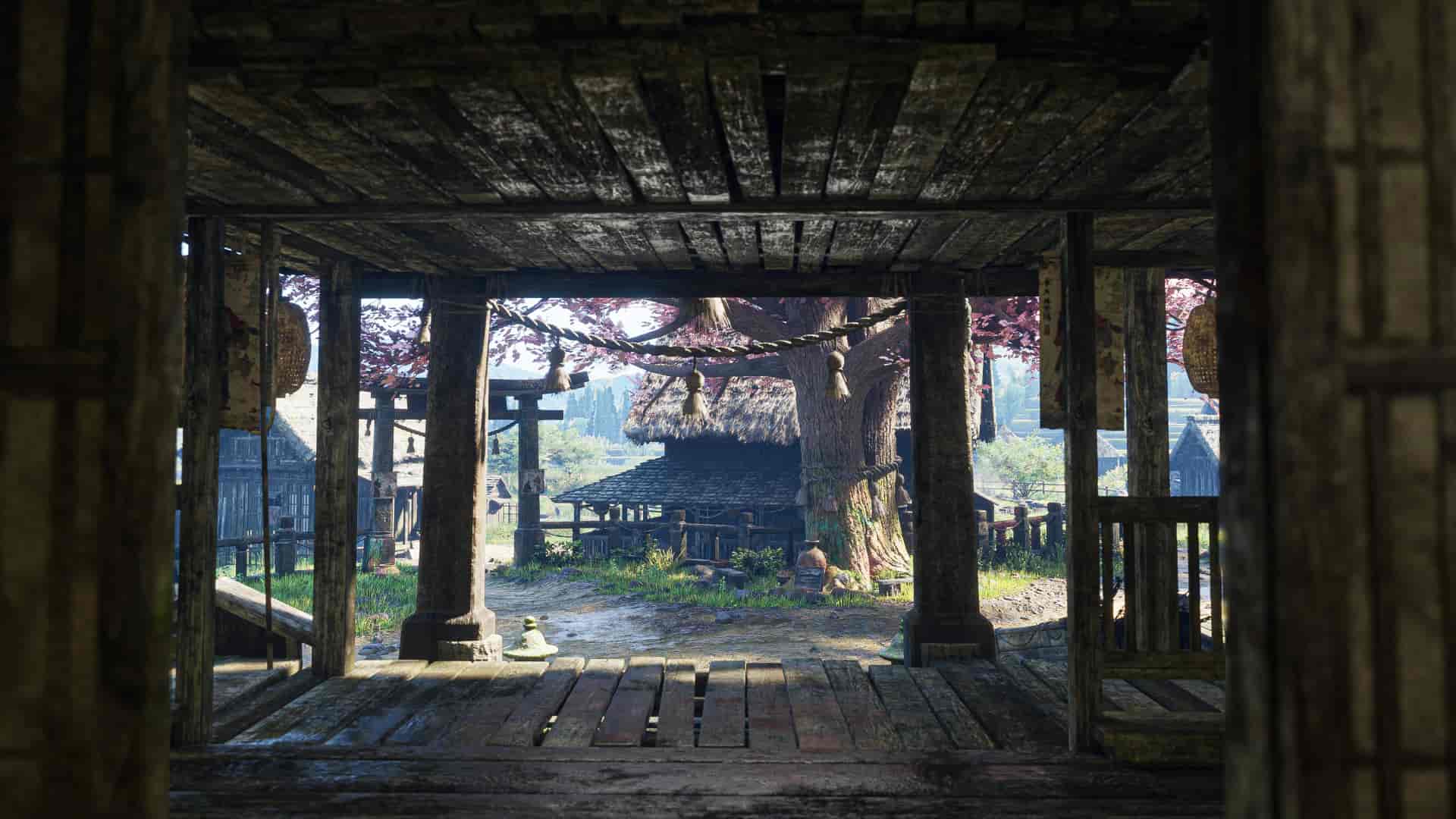 Image 9
