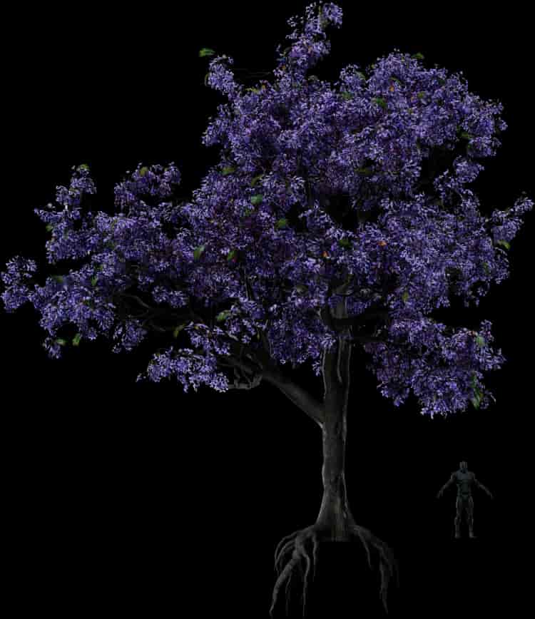Jacaranda Tree | Cosmos by Leartes
