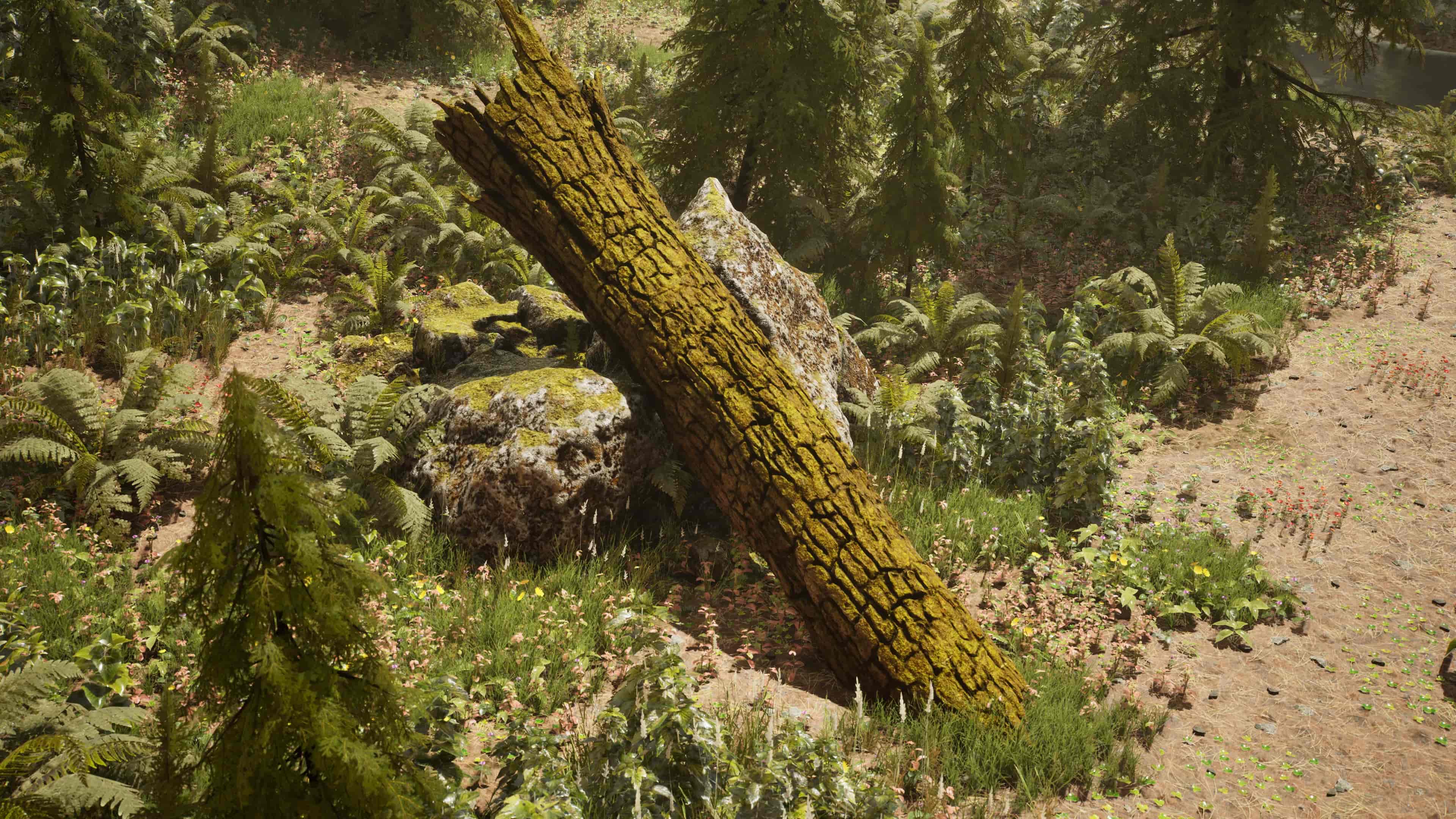 Image 15