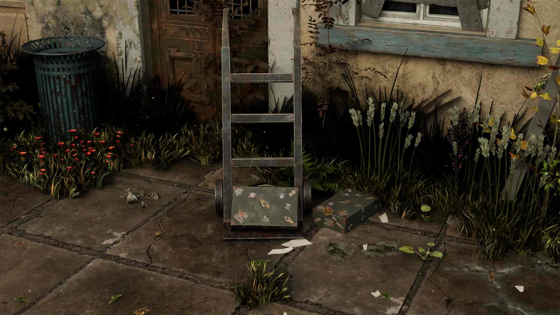 Image 8