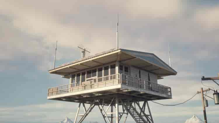Image 11