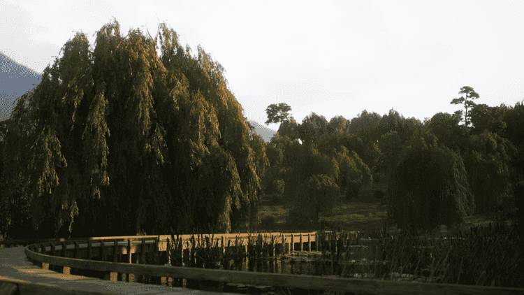 Image 18