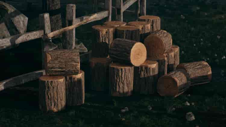Image 9