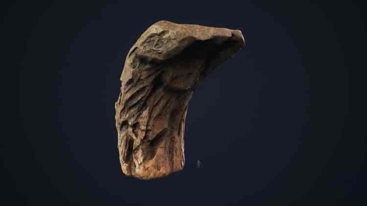 Image 7