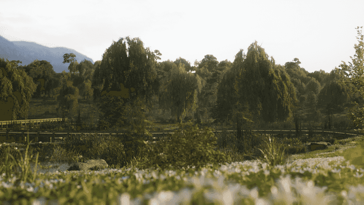 Image 15