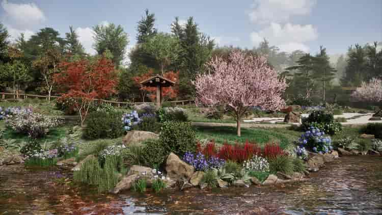 Image 21