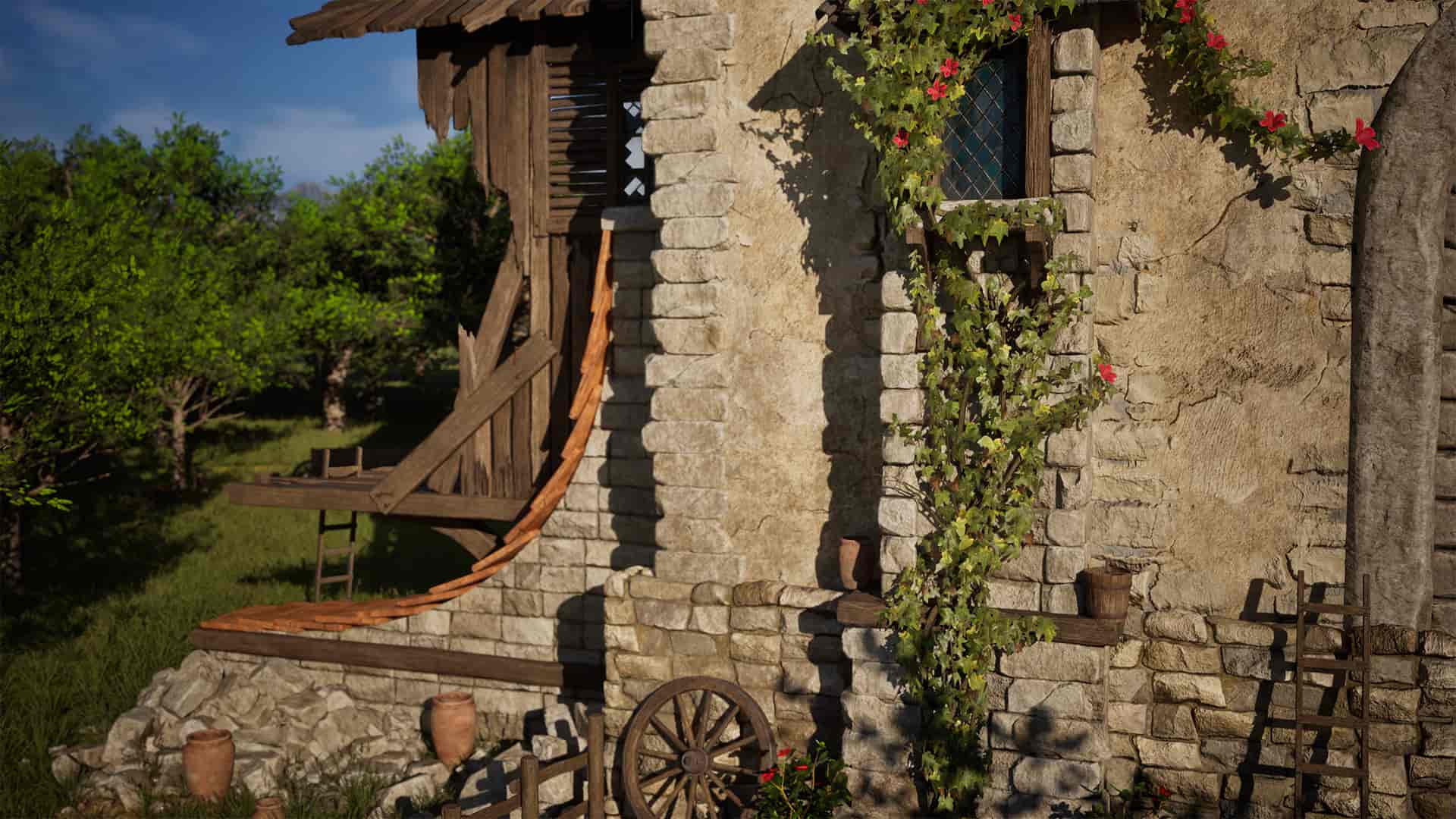 Image 8