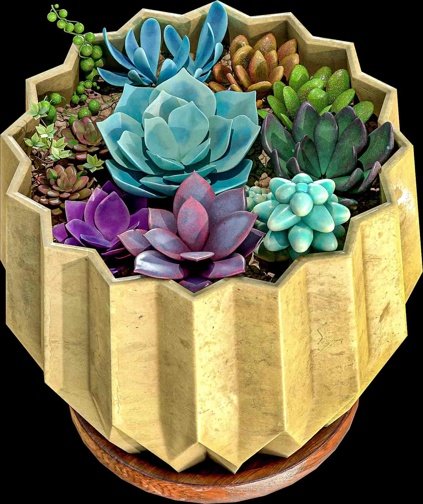 Image 0
