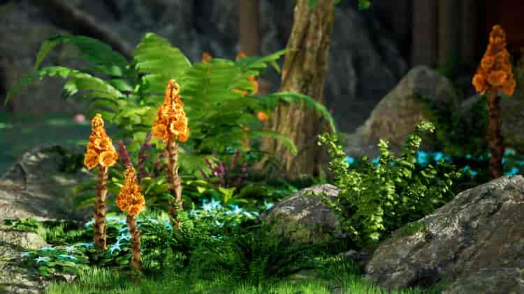 Image 11