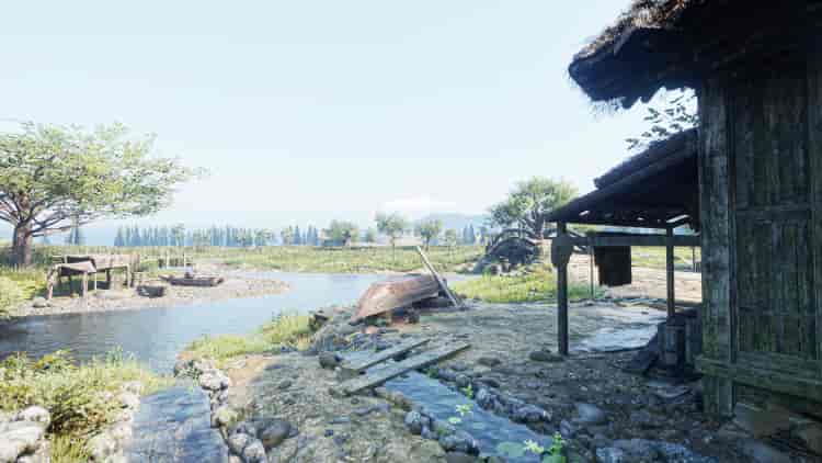 Image 12