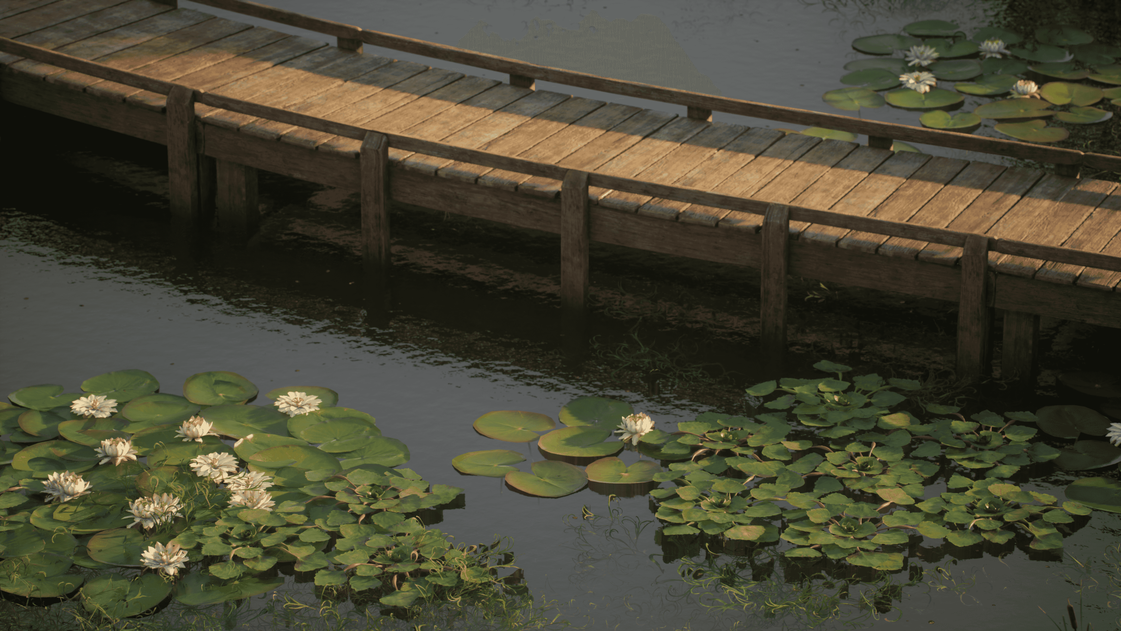 Image 25