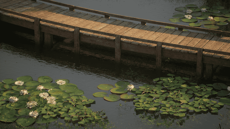 Image 25
