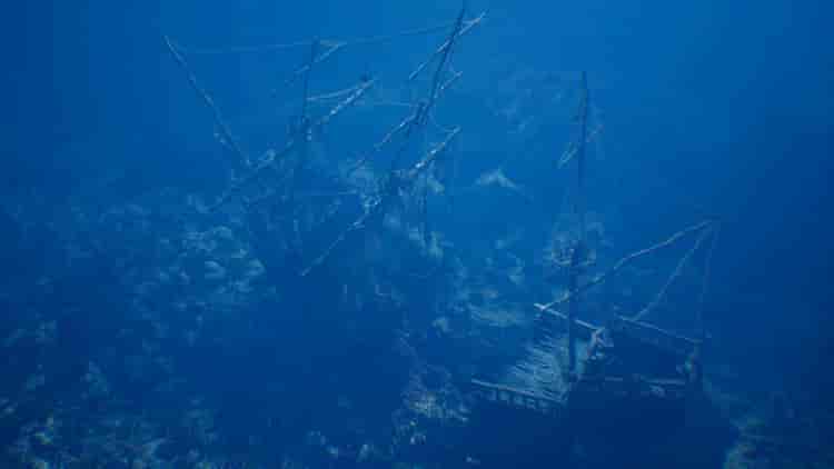 Image 9