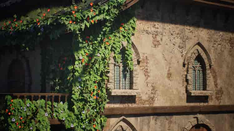 Image 8