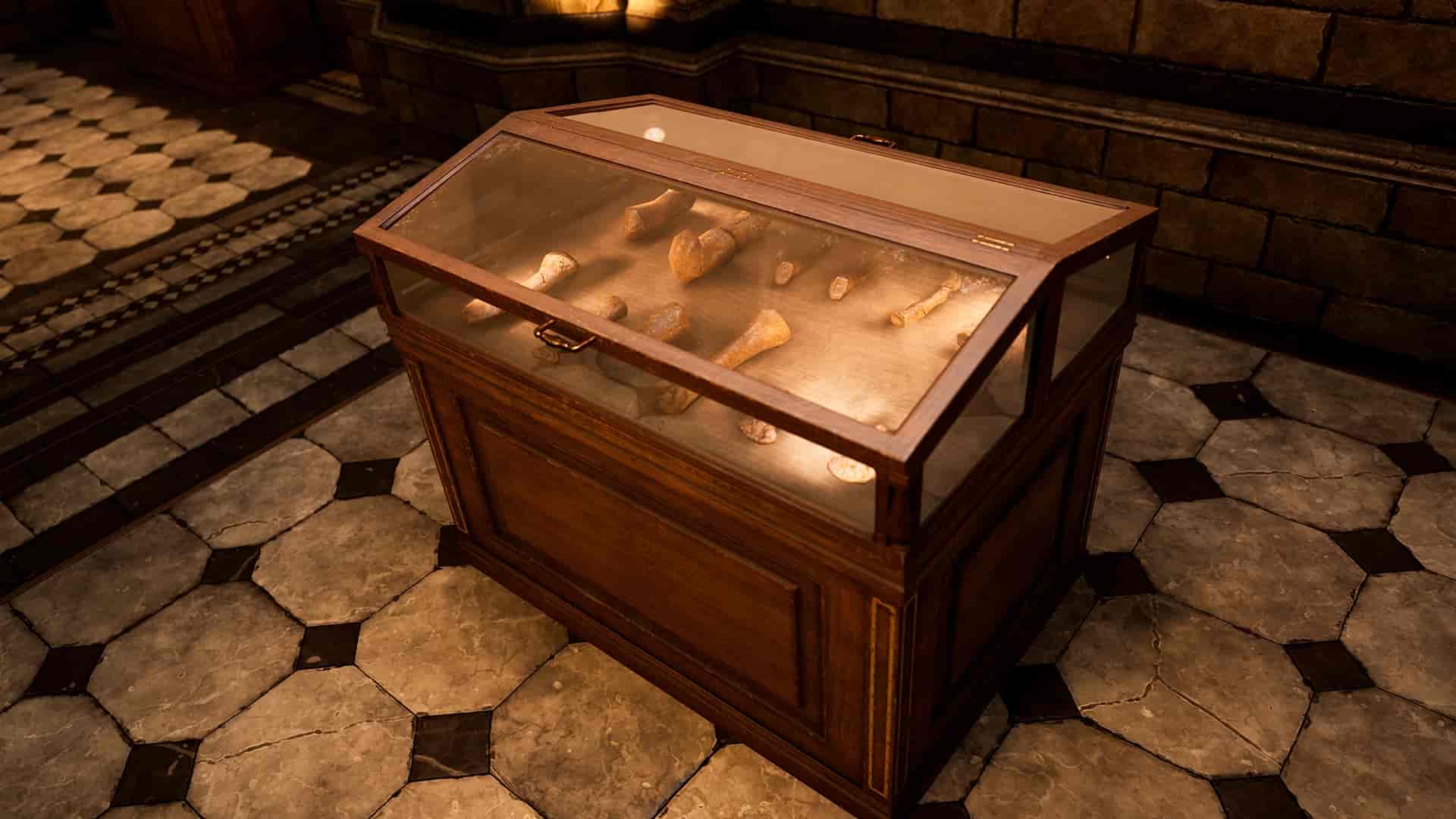 Image 14