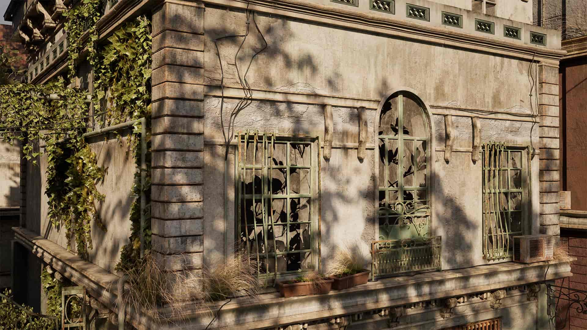 Image 7