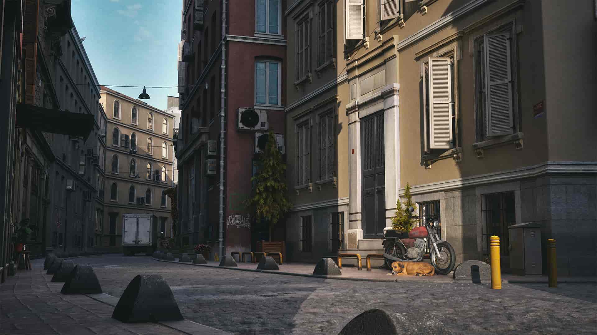 Image 7
