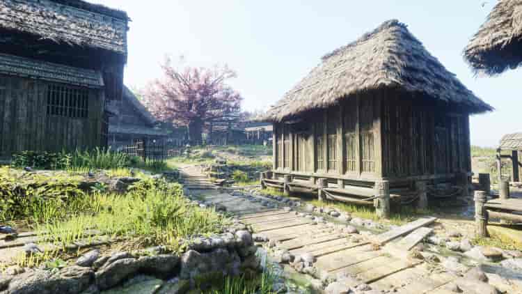 Image 14