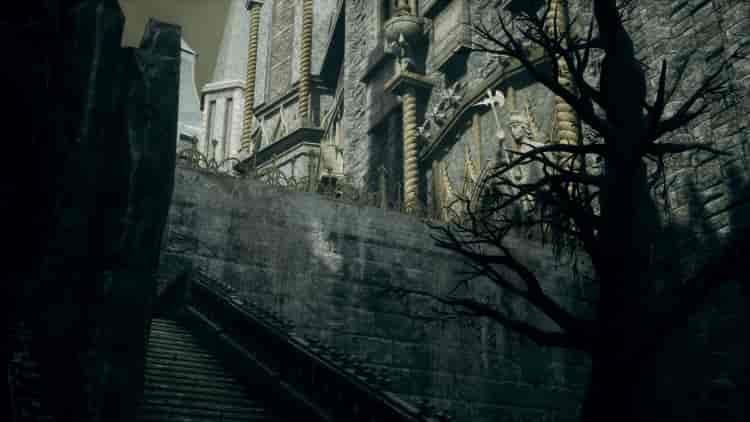 Image 19