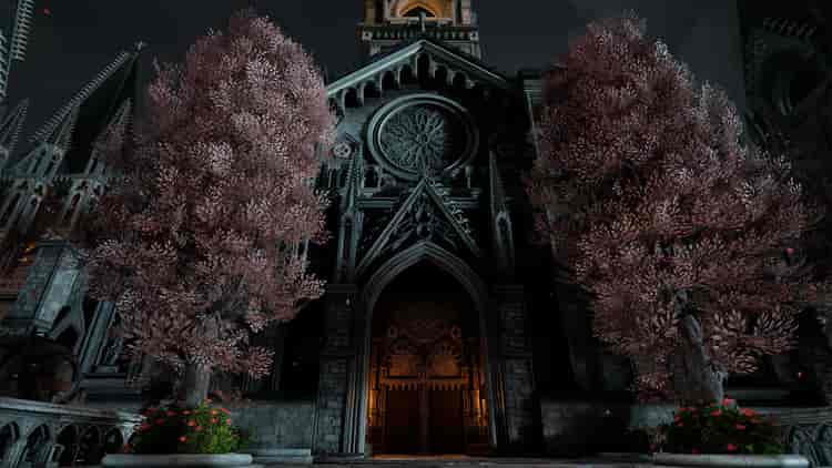 Image 24