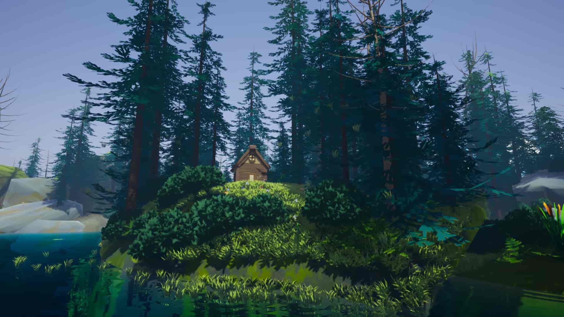 Image 5