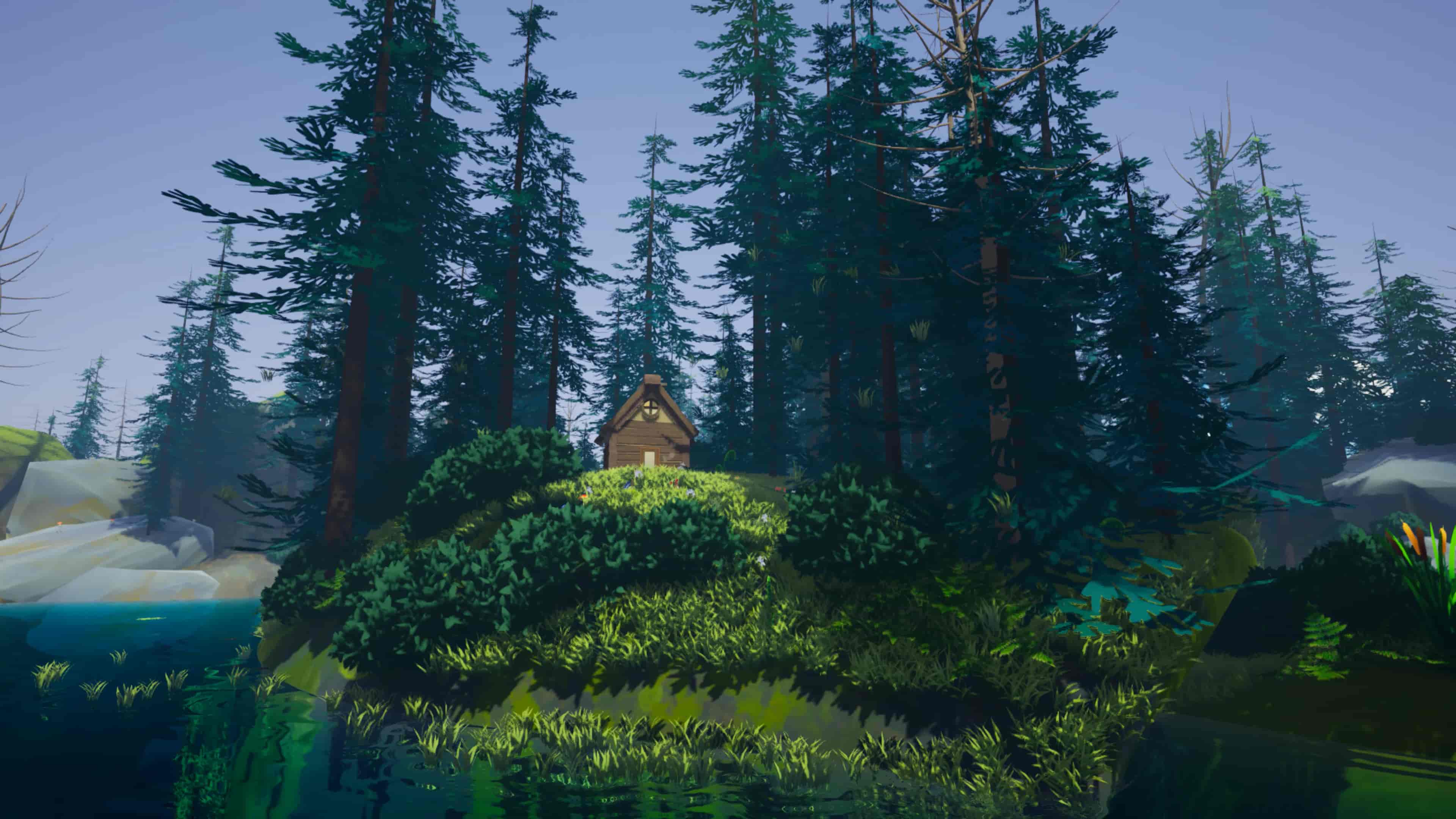 Image 5