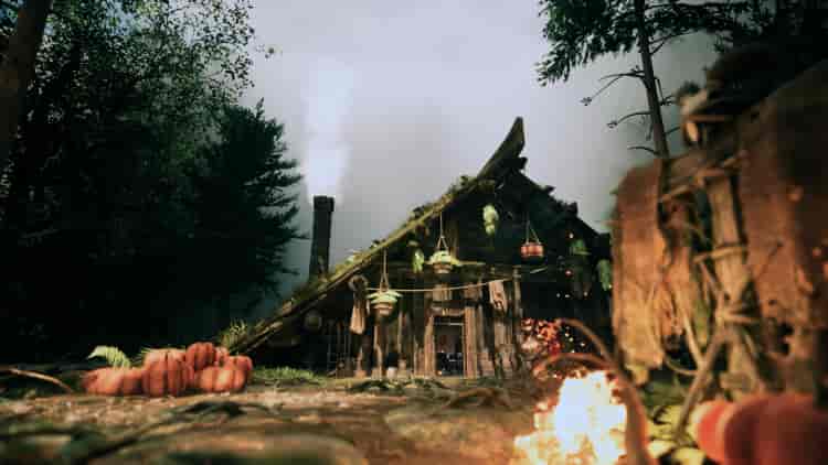 Image 4