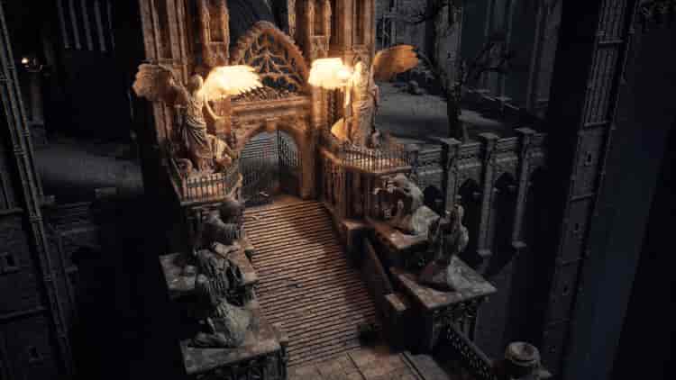 Image 20