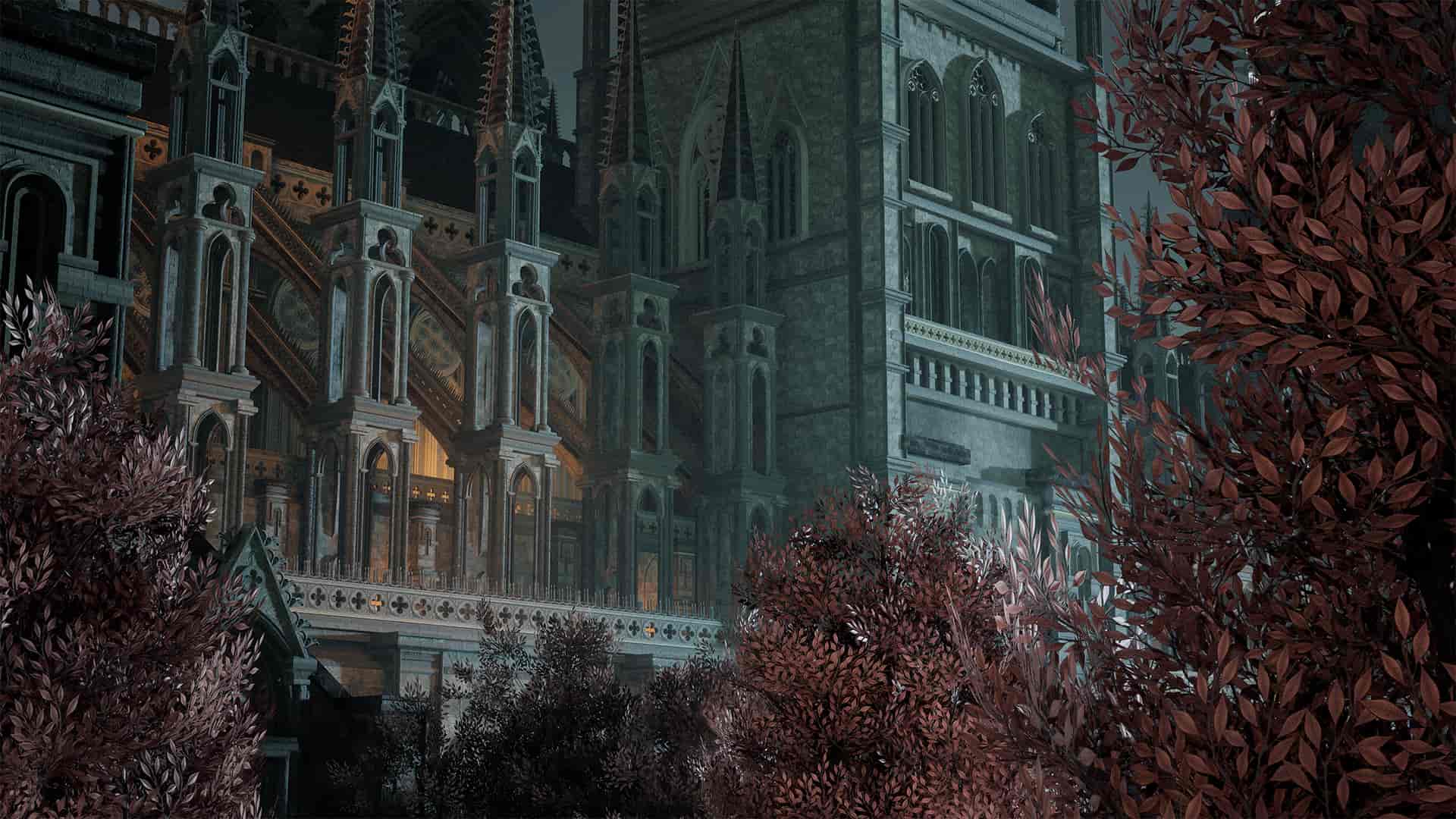 Image 11