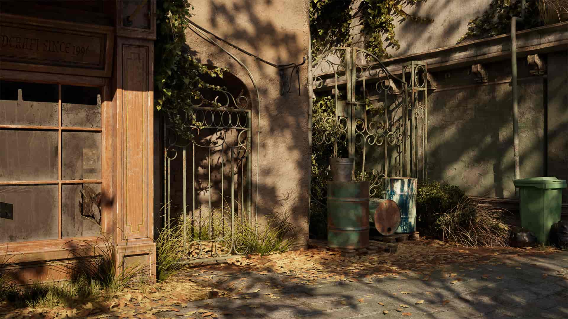 Image 6