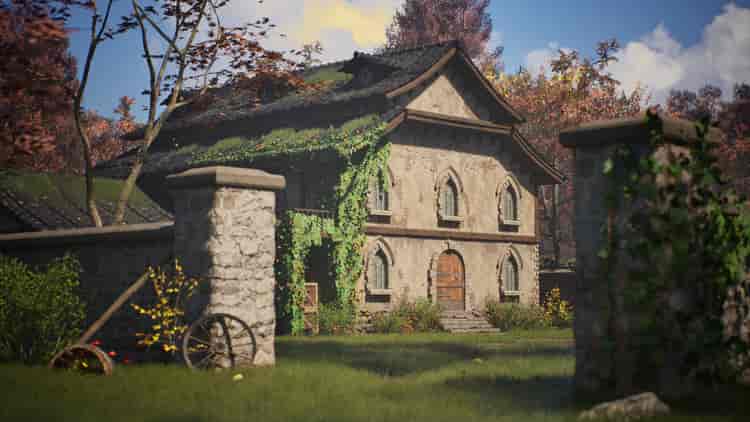 Image 11