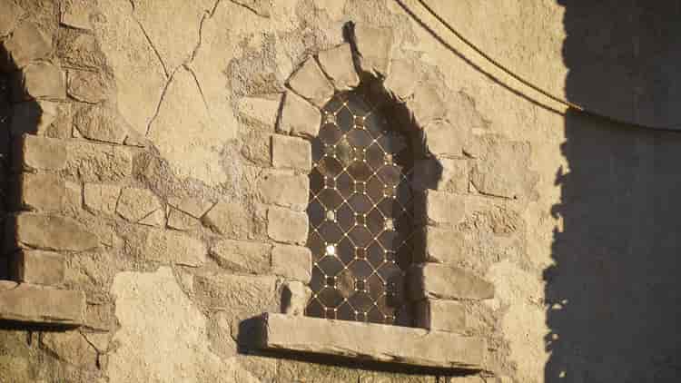 Image 11