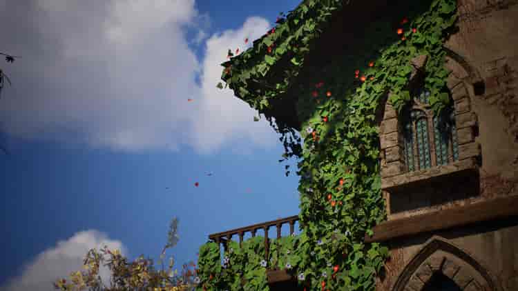 Image 12