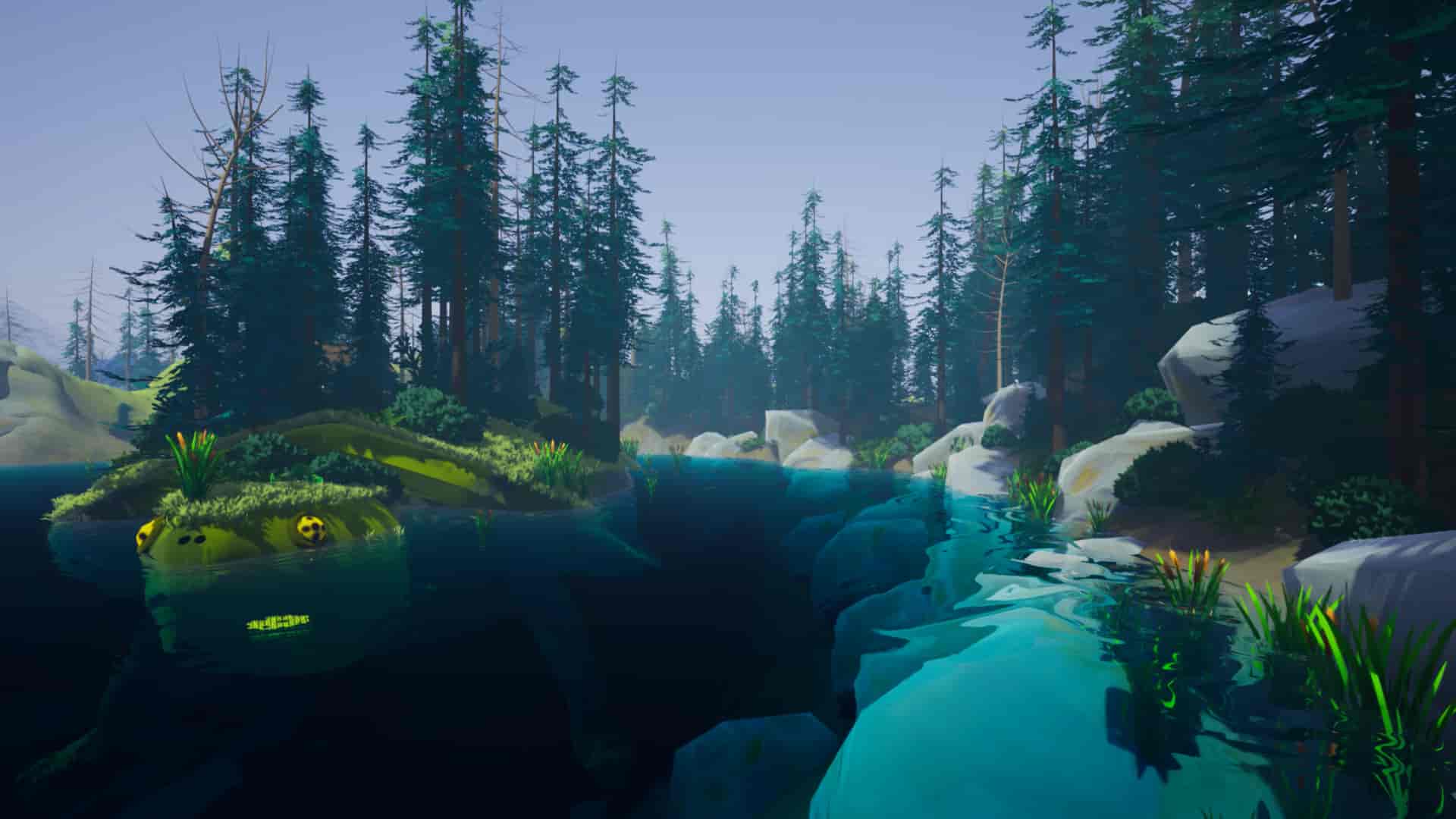 Image 6