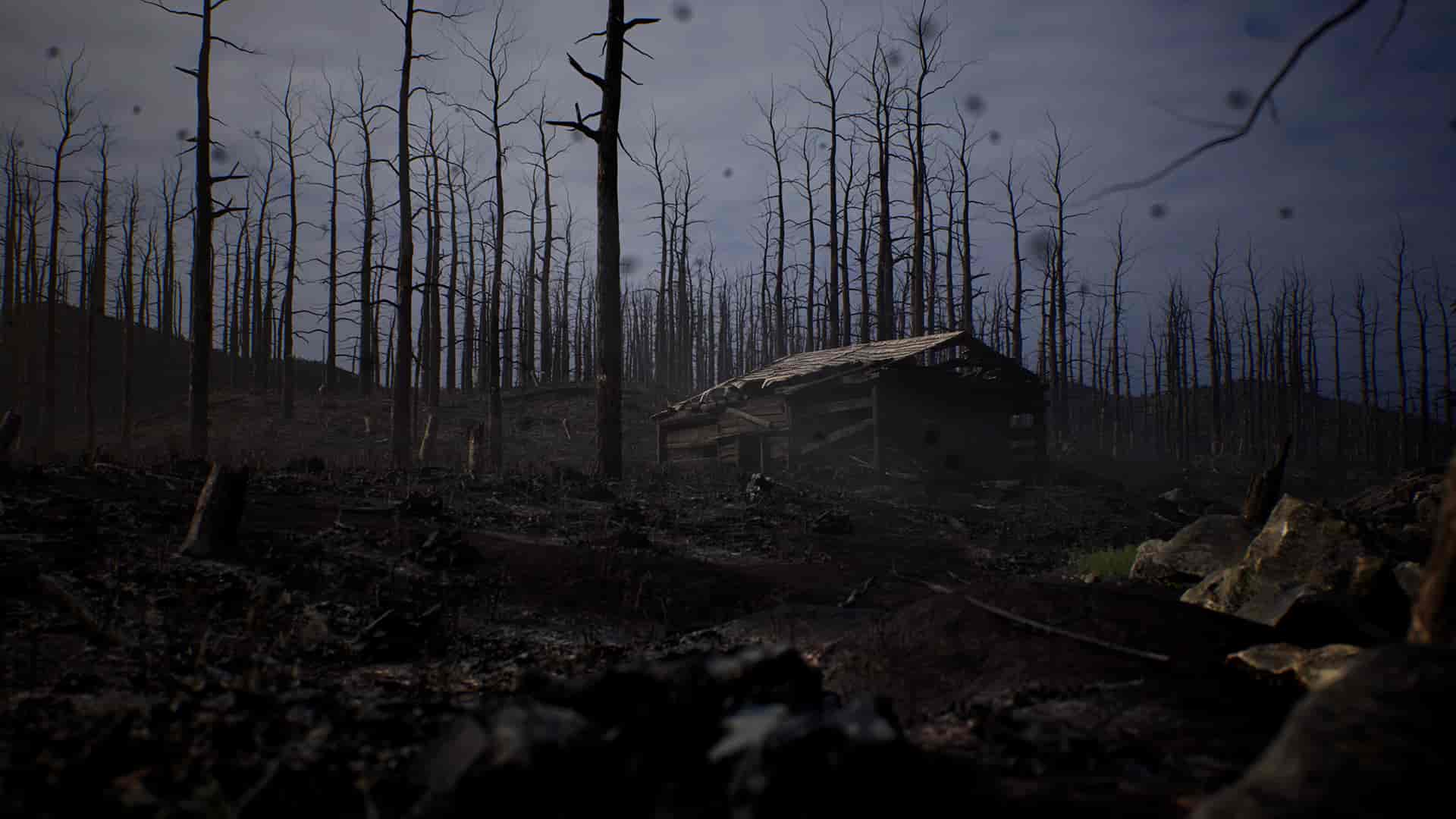 Image 7