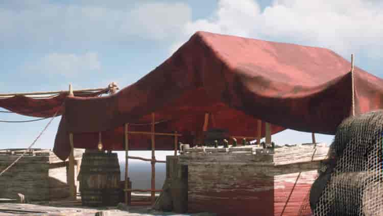 Image 12