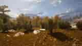 Image 14