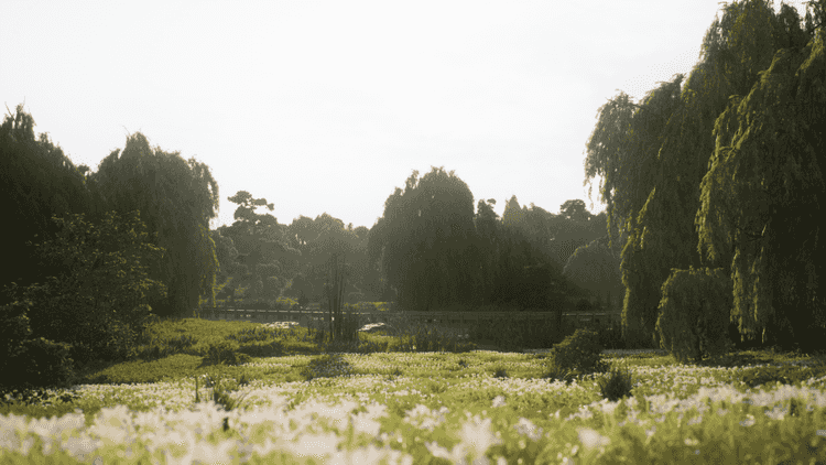 Image 27