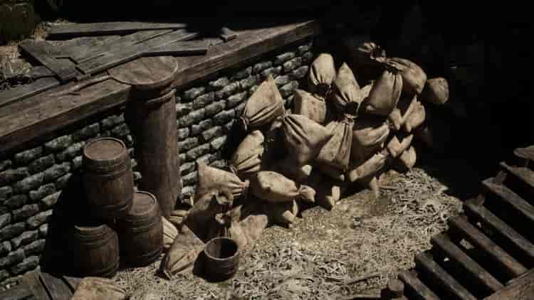 Image 15