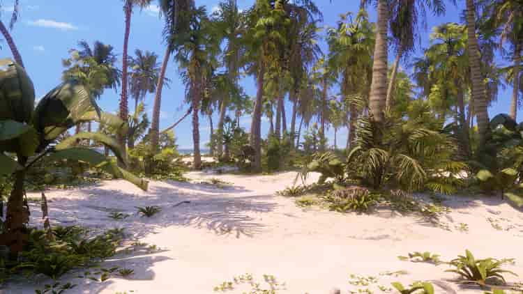 Image 10
