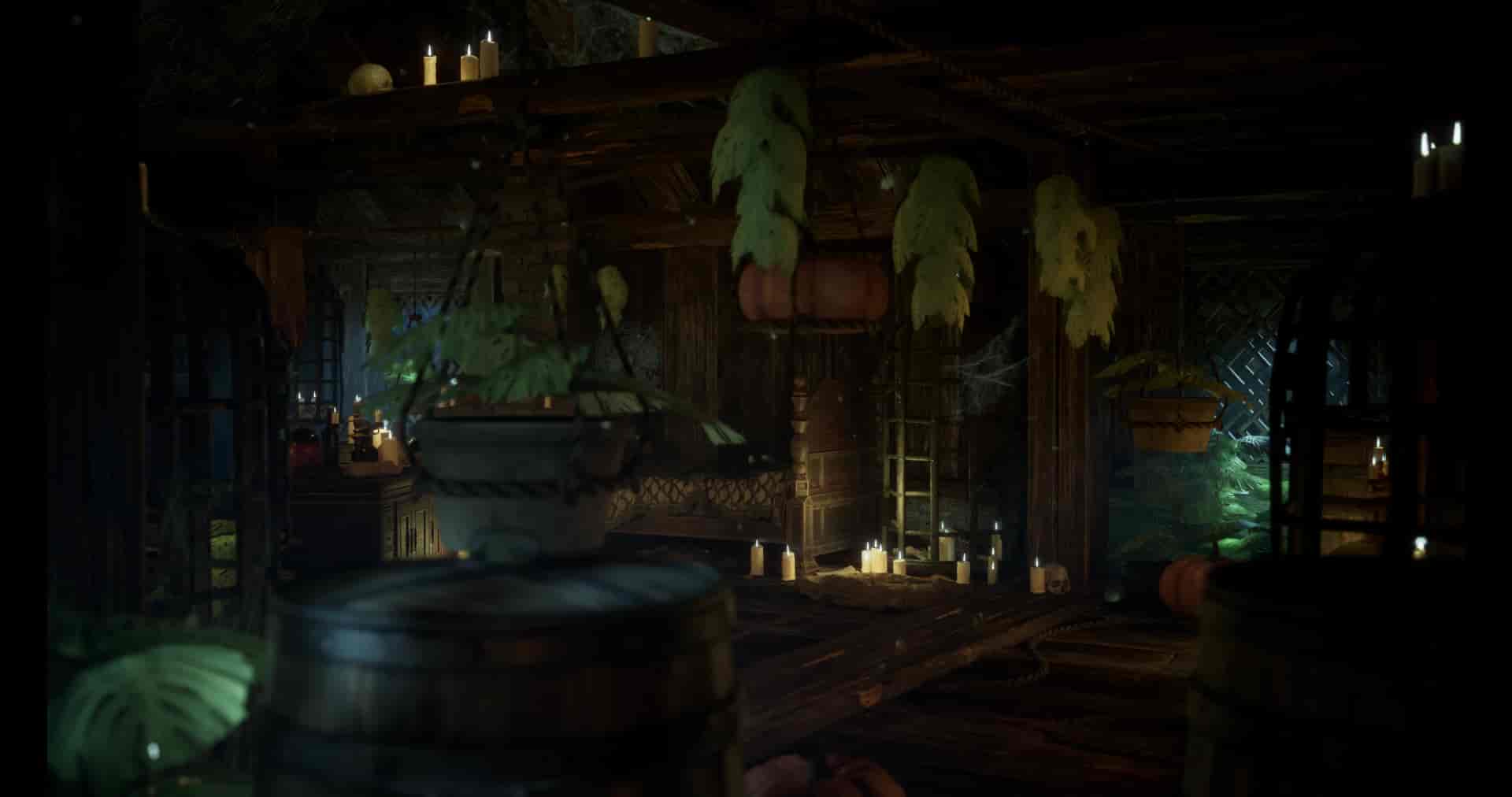 Image 8