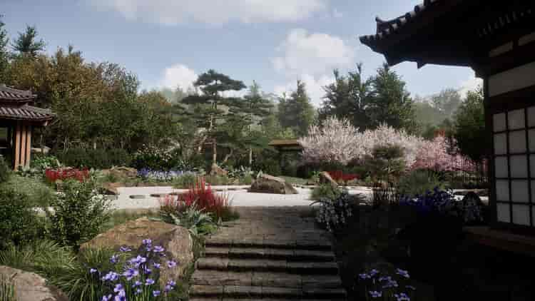 Image 11