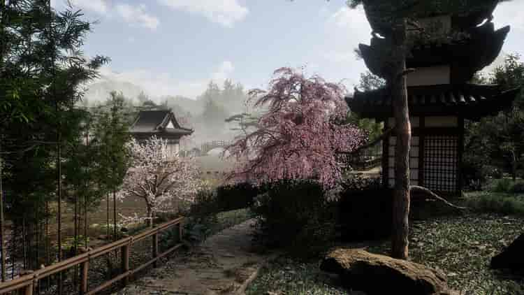Image 22