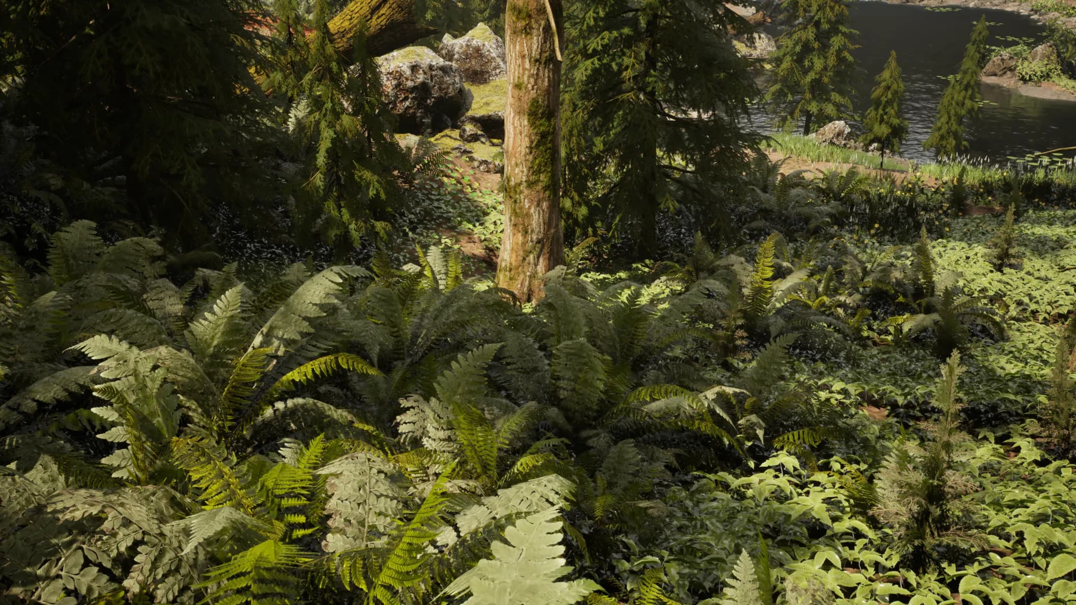 Lakeside hemlock forest with dense fern undergrowth, boulders and mossy branches