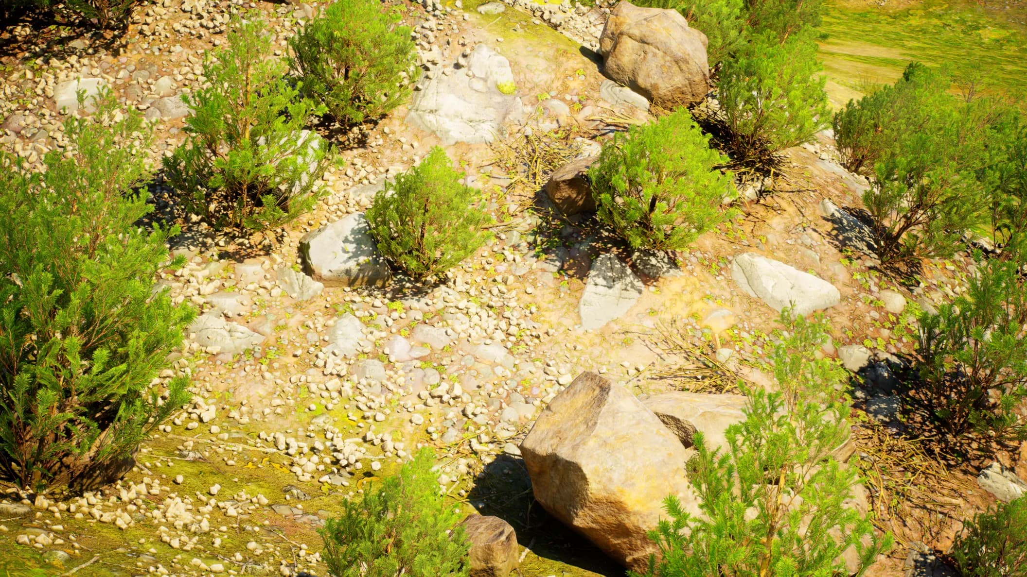 Sparse rocky hemlock hillside with scattered rocks and occasional saplings
