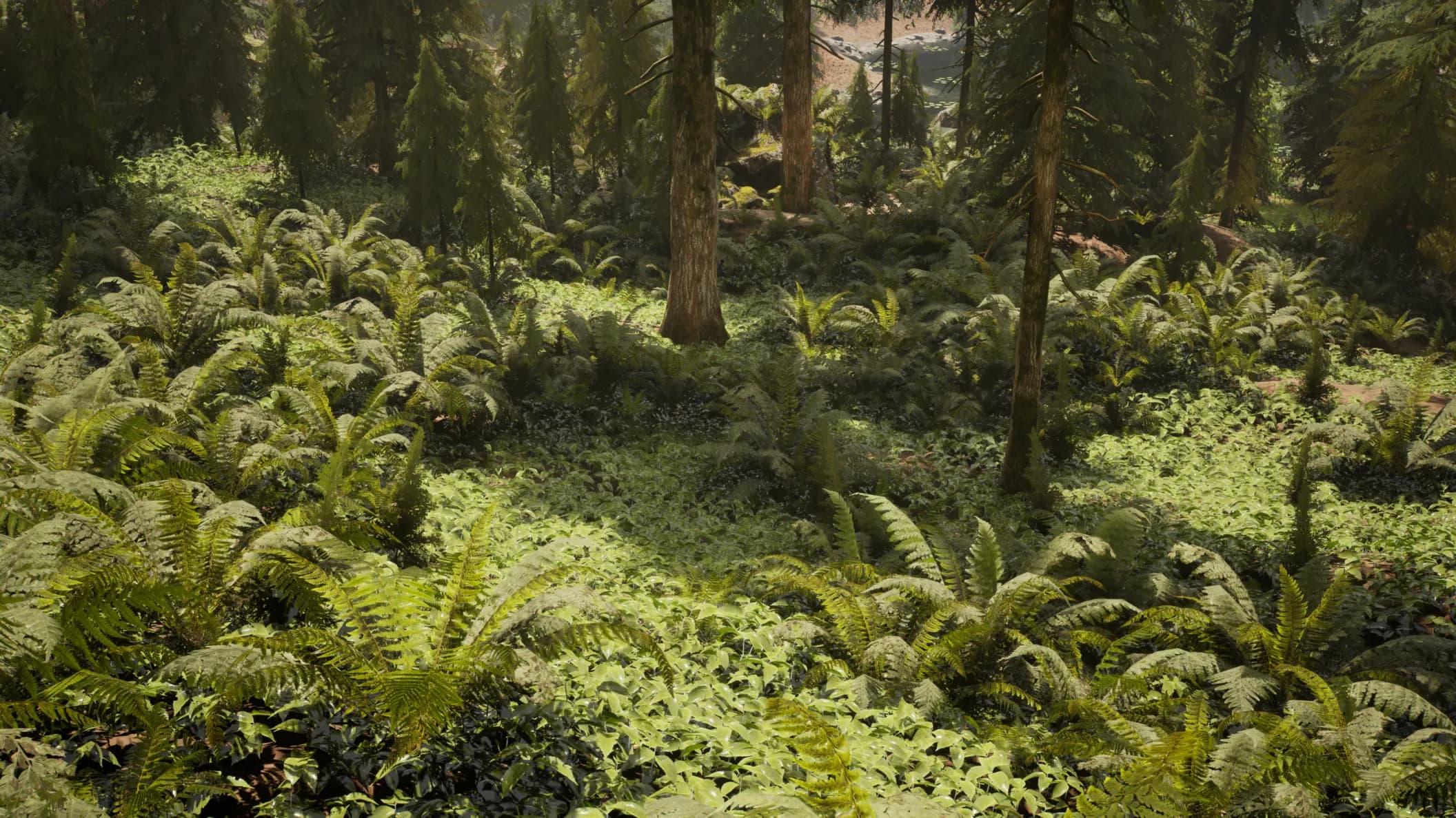 Dense fern meadow under hemlock canopy with thick ground vegetation and soft fog