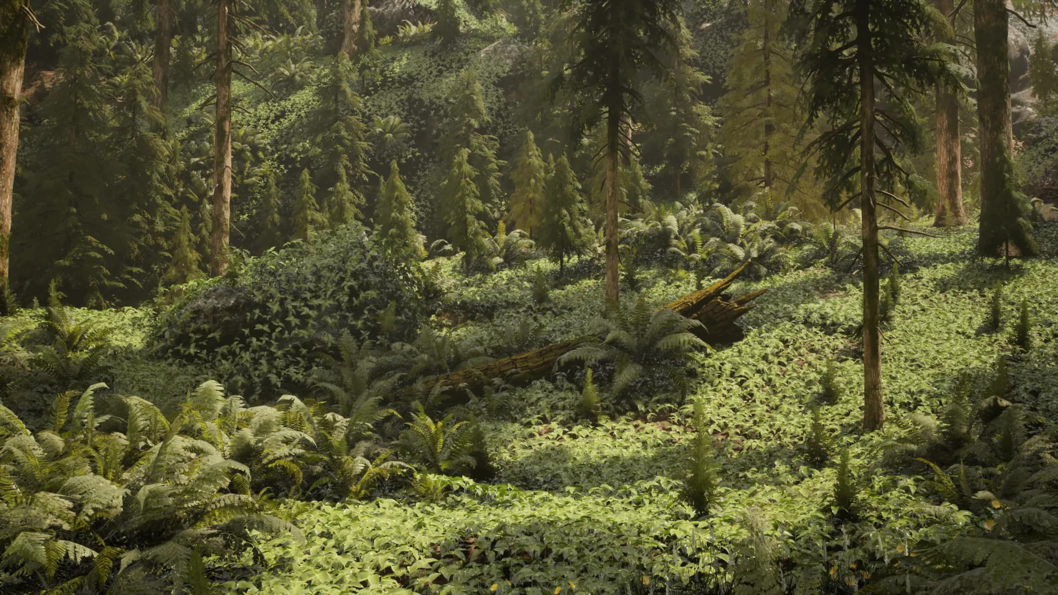 Hemlock forest clearing with fallen mossy log, ferns and young saplings