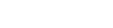 maelstorm logo